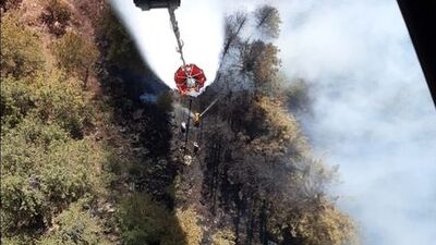 Adana'da orman yangını çıktı