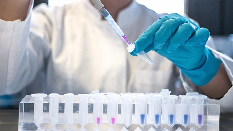 İşitme kaybına gelecekte kök hücre çare olabilir