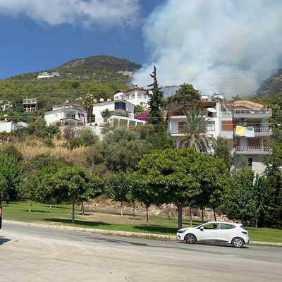 Antalya'da ormanlık alanda yangın!