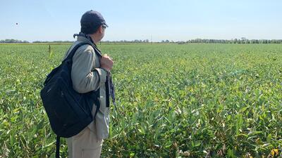 Amerika'da tarım ve biyoteknoloji...