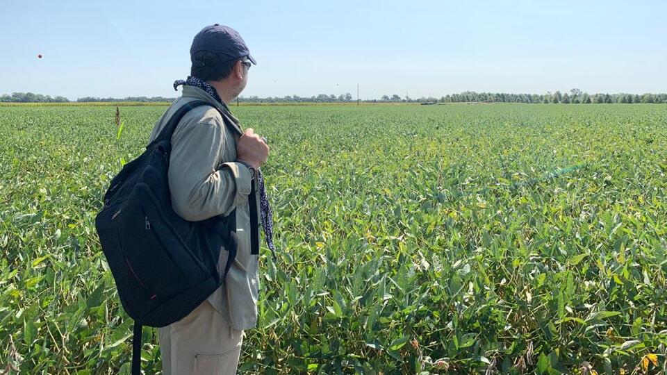 Amerika'da tarım ve biyoteknoloji...