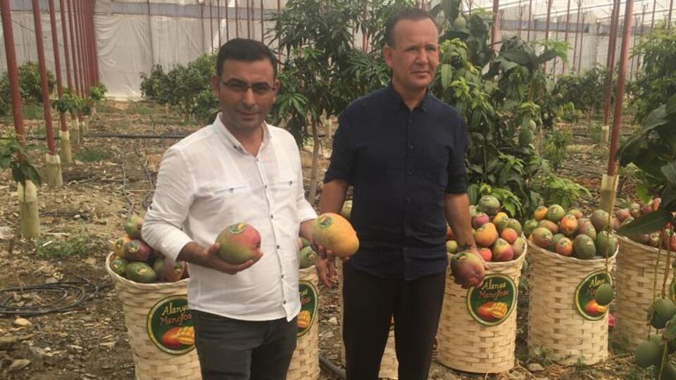 'Türkiye'nin elinde müthiş bir fırsat var'