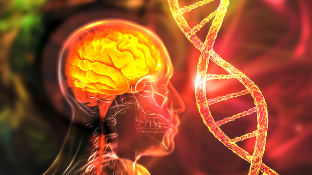 Korkutan Alzheimer verileri! 2050 yılında...