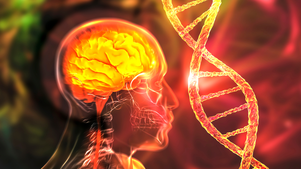 Korkutan Alzheimer verileri! 2050 yılında...