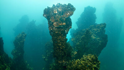 Van Gölü'nün Peri Bacaları