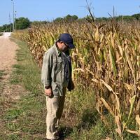 Amerika’da tarım nasıl büyüdü?