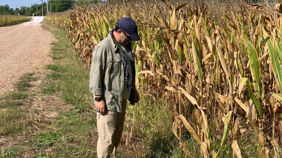 Amerika'da tarım nasıl büyüdü?