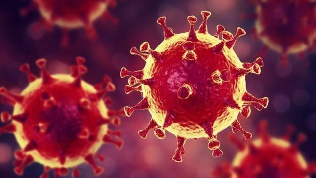 Bilim Kurulu Üyesi Turan'dan varyant açıklaması!