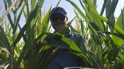 GDO'lu gıda geleceğin en önemli tartışma konusu