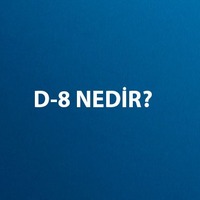 D8 nedir, ülkeleri hangileridir?