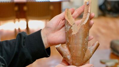 Bir ilk! 4 bin 500 yıllık kaplarda bulundu...