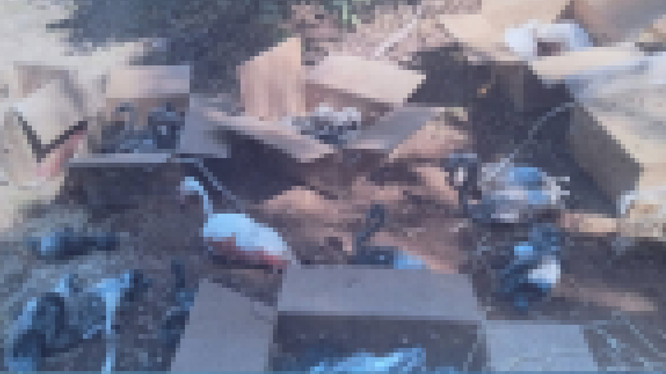 Flamingoları ayak ve gagalarından bağlayıp kaçırdılar!