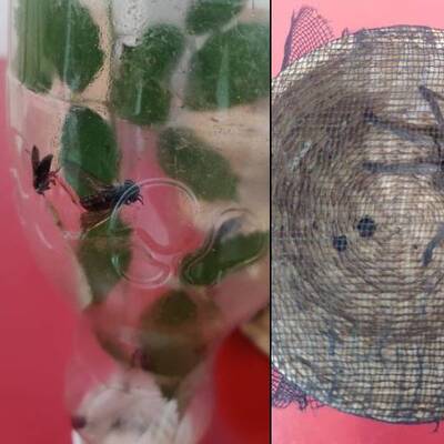 Sırt çantasından çıktı! 109 bin TL ceza