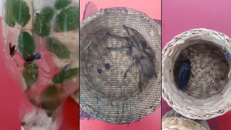 Sırt çantasından çıktı! 109 bin TL ceza