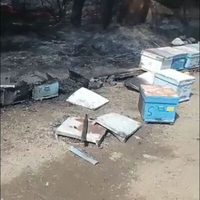 Marmaris'te yangının çıkış nedeni belli oldu