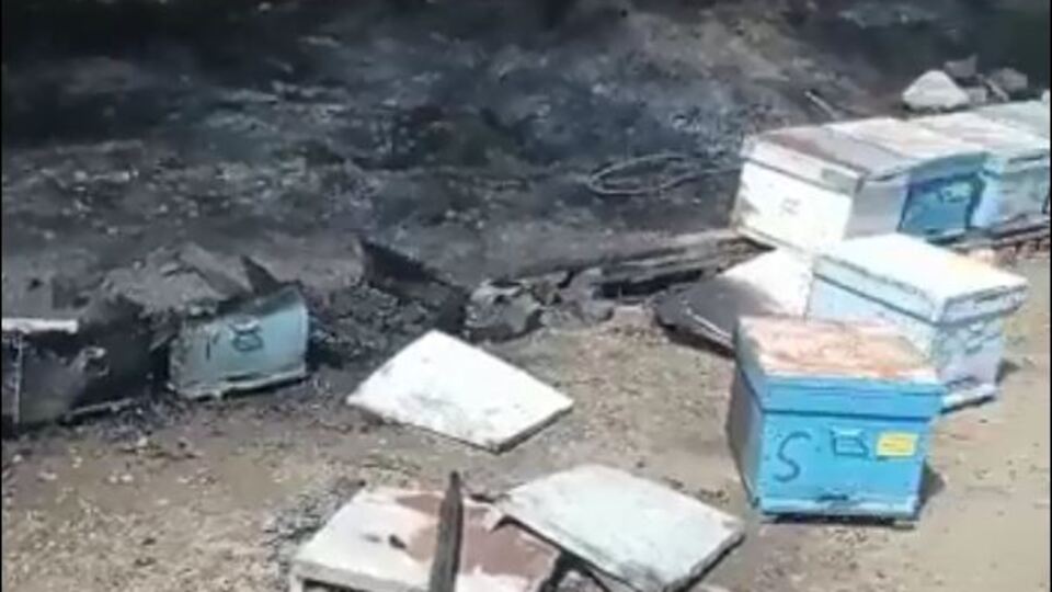 Marmaris'te yangının çıkış nedeni belli oldu