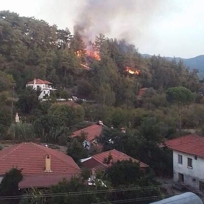 Muğla'da korkutan yangın