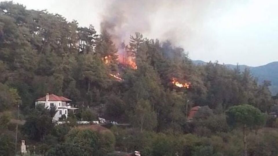 Muğla'da korkutan yangın