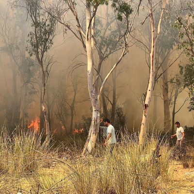 Marmaris'ten sonra Kaş'ta orman yangını çıktı!