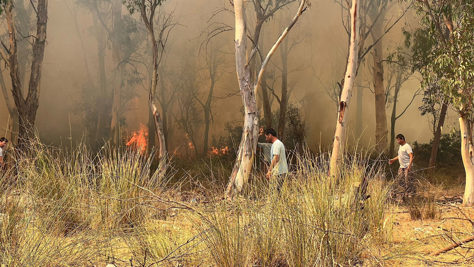 Marmaris'ten sonra Kaş'ta orman yangını çıktı!