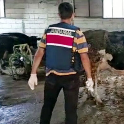 Besicilere 'dekont' şoku!