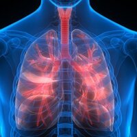 Sigarayı bıraktığınızda vücudunuzda bunlar olacak