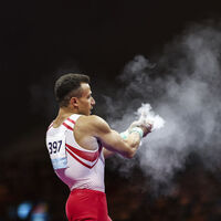 Adem Asil'den altın madalya