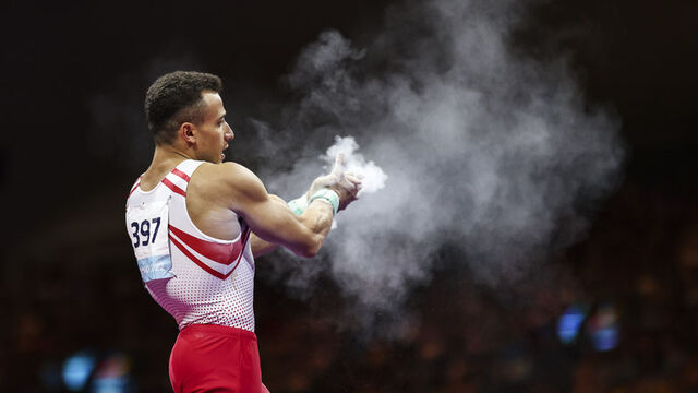 Adem Asil'den altın madalya