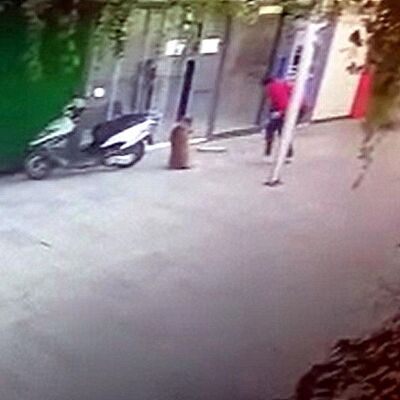 O anlar kamerada! Sokak köpeğini bıçakla öldürdü! Vicdansız!