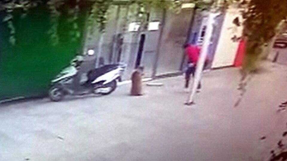 O anlar kamerada! Sokak köpeğini bıçakla öldürdü! Vicdansız!