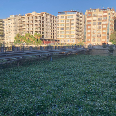 Tarla değil nehir! Hatay'da çarpıcı görüntü