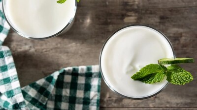 Bağırsakları düzenliyor, bağışıklığı güçlendiriyor!