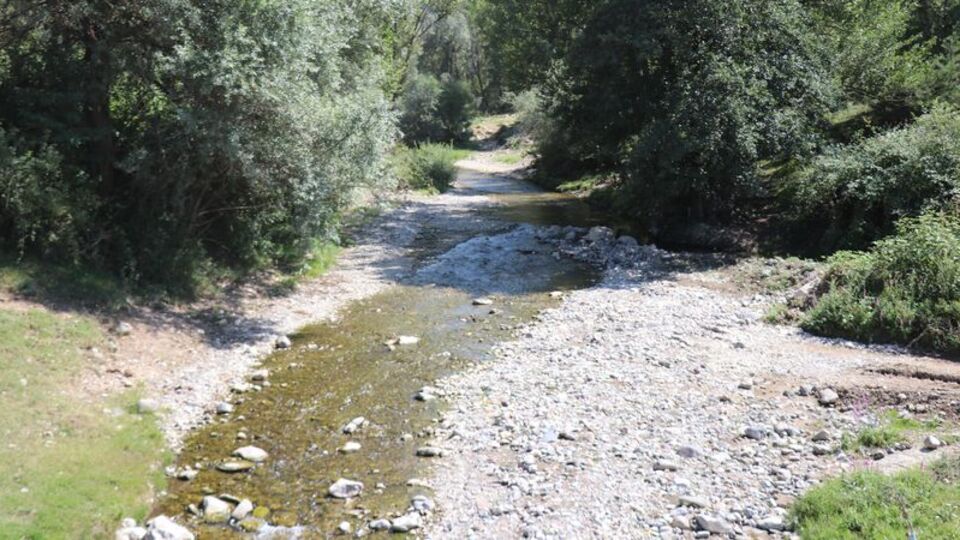 Bolu'da yine zehirlenme! 2 kişi tedavide