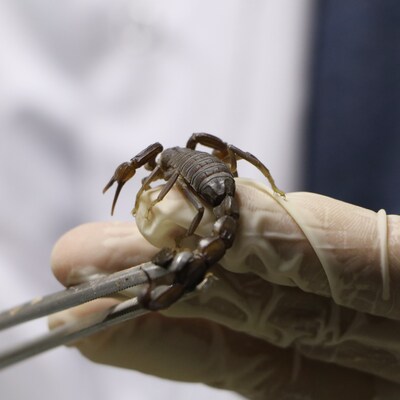 Harran Üniversitesi'nden dikkat çeken çalışma!