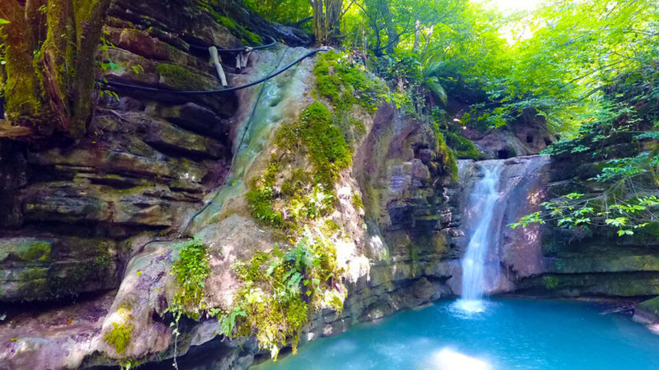 Feci olay! Üzerlerine ağaç devrilen 2 kişi öldü!