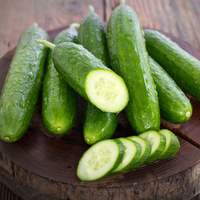 Salatalık kilo aldırır mı?