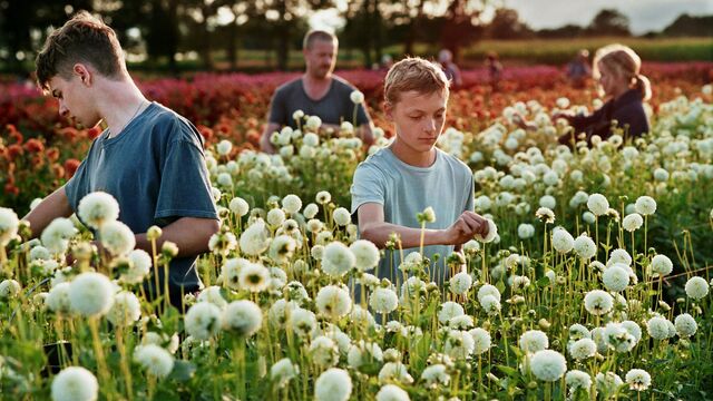 Filmekimi'nde seyretmek istediğim 10 film