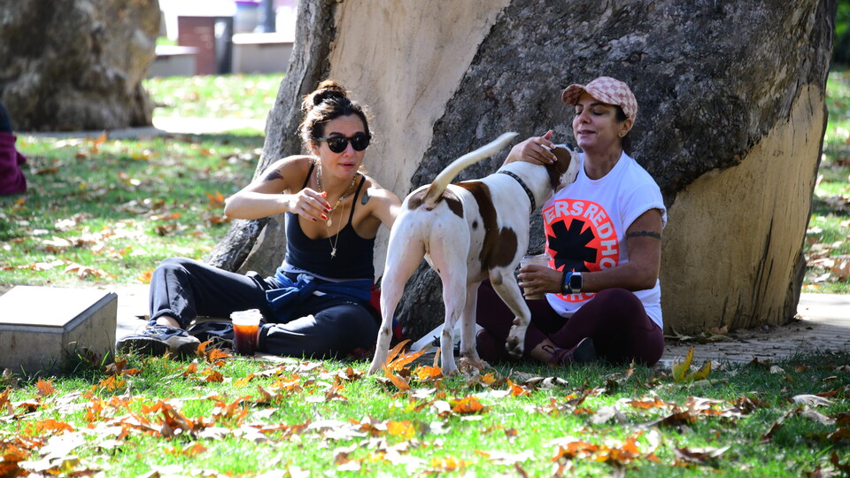 Birce'nin park keyfi