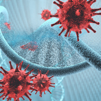 Kandaki enfeksiyon nasıl atılır?