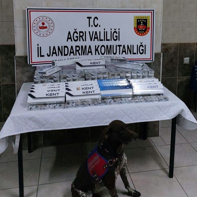 Ağrı'da kaçakçılık operasyonu