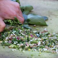 Bu bitkiyi ayda 1 kere tüketen hastalanmıyor