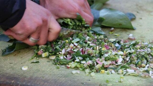 Bu bitkiyi ayda 1 kere tüketen hastalanmıyor