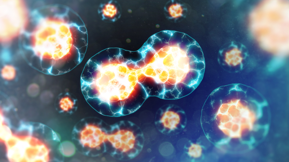 Kadınlarda en sık görülen kanser türü!