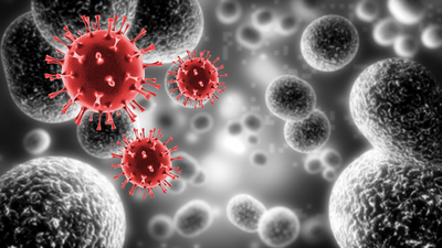 Koronovirüs daha çok erkekleri vurdu