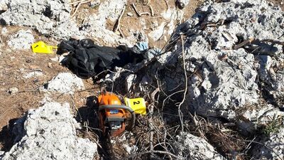 Kestiği ağaç eceli oldu