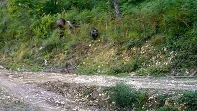 Balkız'ın keyfine diyecek yok