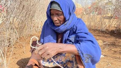 Somali'de kuraklık ve kıtlık: 'Üç yaşındaki kızımı gömecek takatim yoktu'