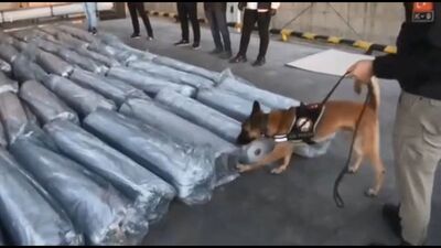 İstanbul Ambarlı Limanı'nda 1,5 ton uyuşturucu ele geçirildi