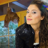 Atiye'nin evine baykuş girdi