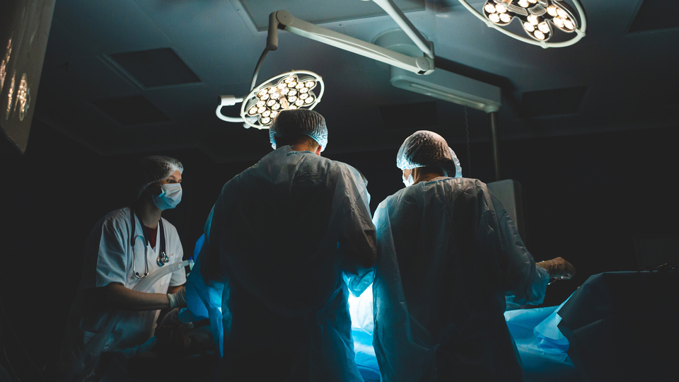 Dünyada ilk! Bağırsak nakline öncülük etti